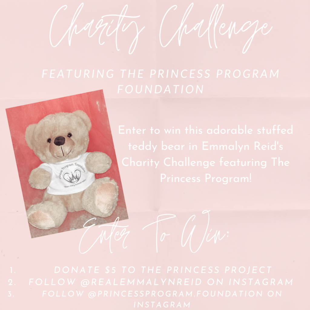 **GIVEAWAY** to Benefit The Princess&nbsp;Program